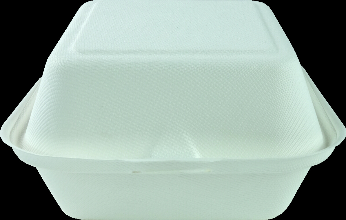 bagasse